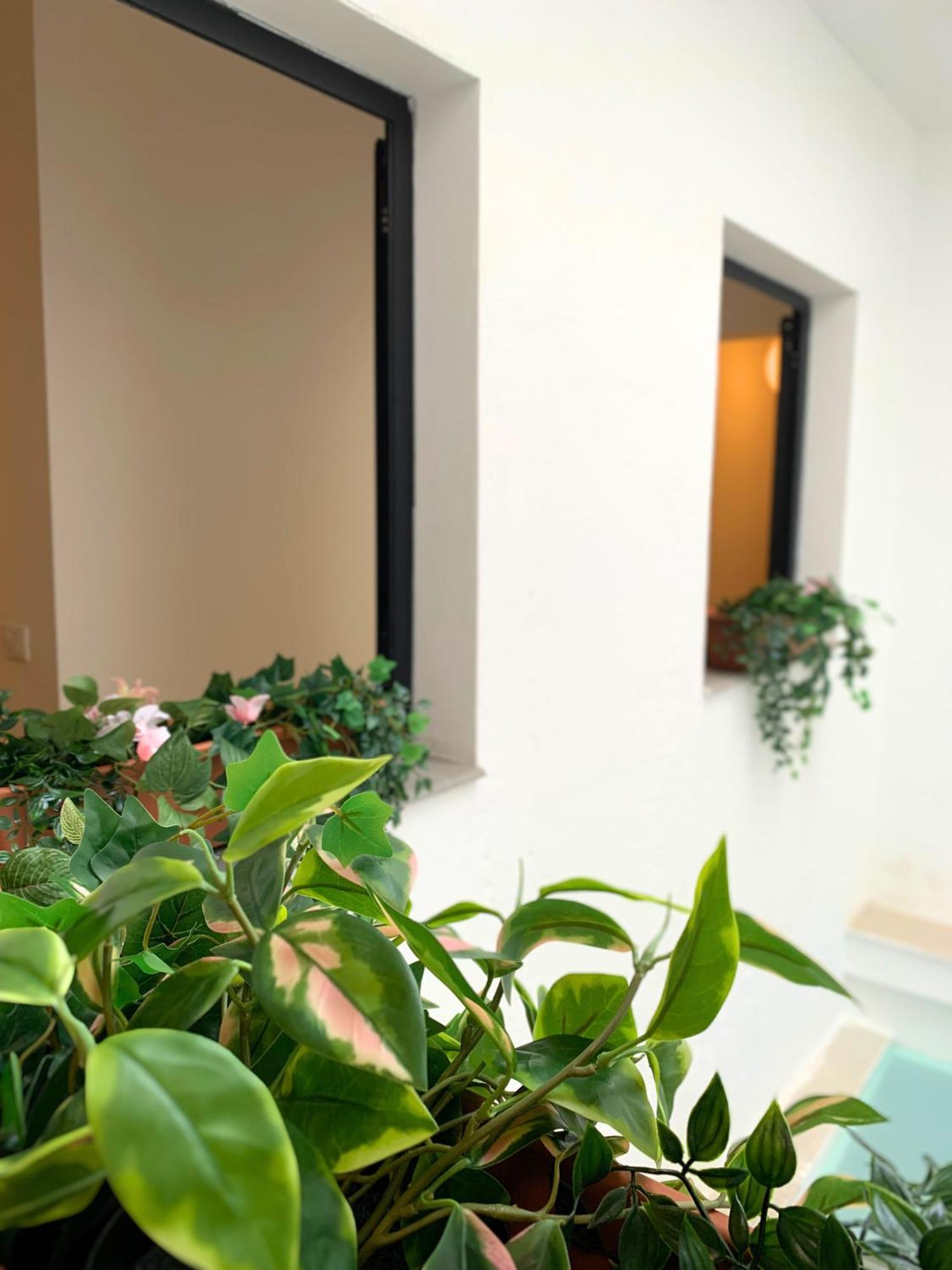Nordic! 1 Bedroom Apartment Puerto de la Cruz (Tenerife) Exterior foto